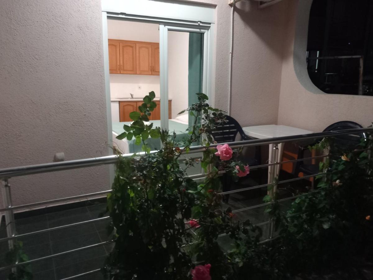 Villa Emeja - Bar - Montenegro Exterior foto